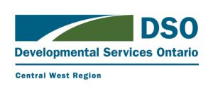 DSO Logo