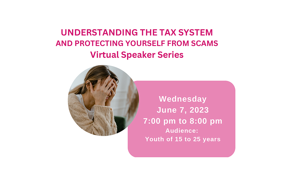 UNDERSTANDING THE TAX SYSTEM